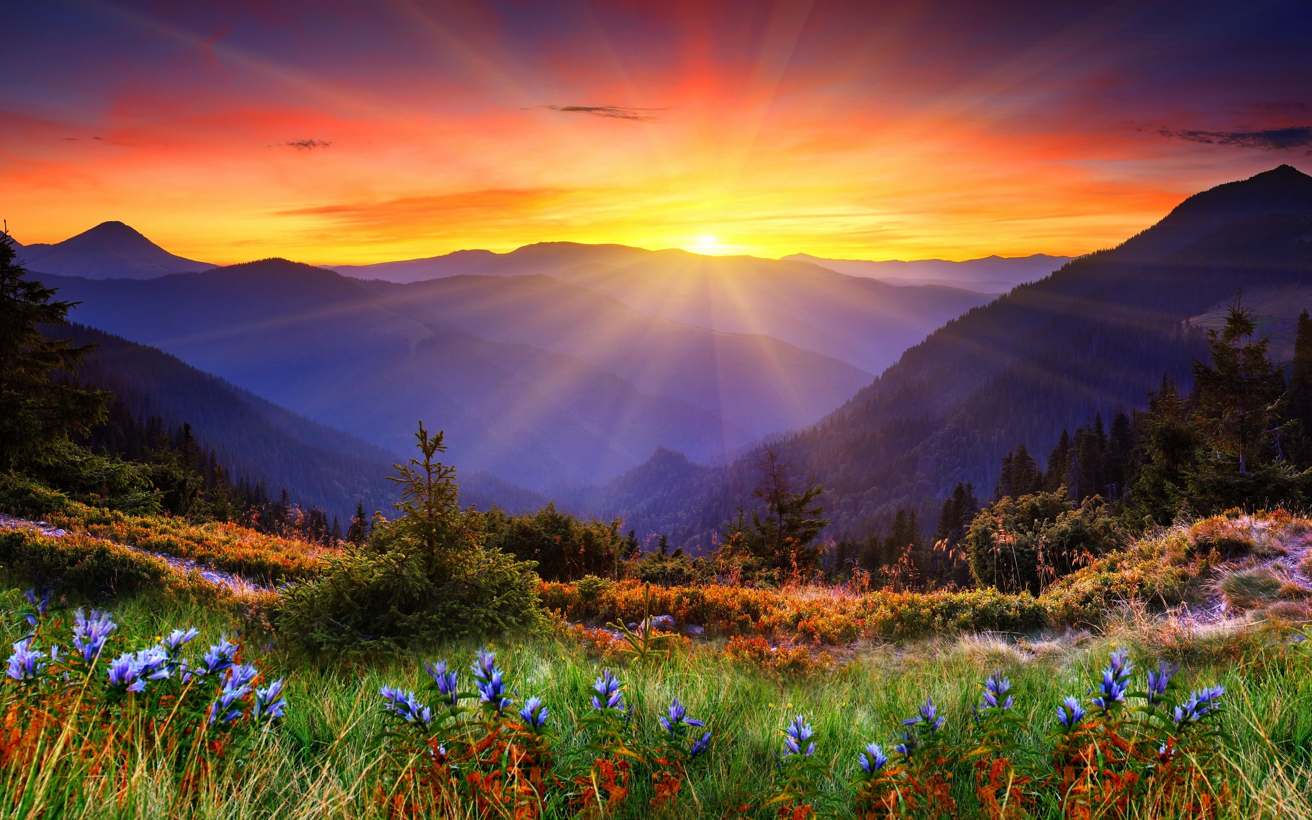 Scenic Sunset Over Mountains HD Wallpaper
