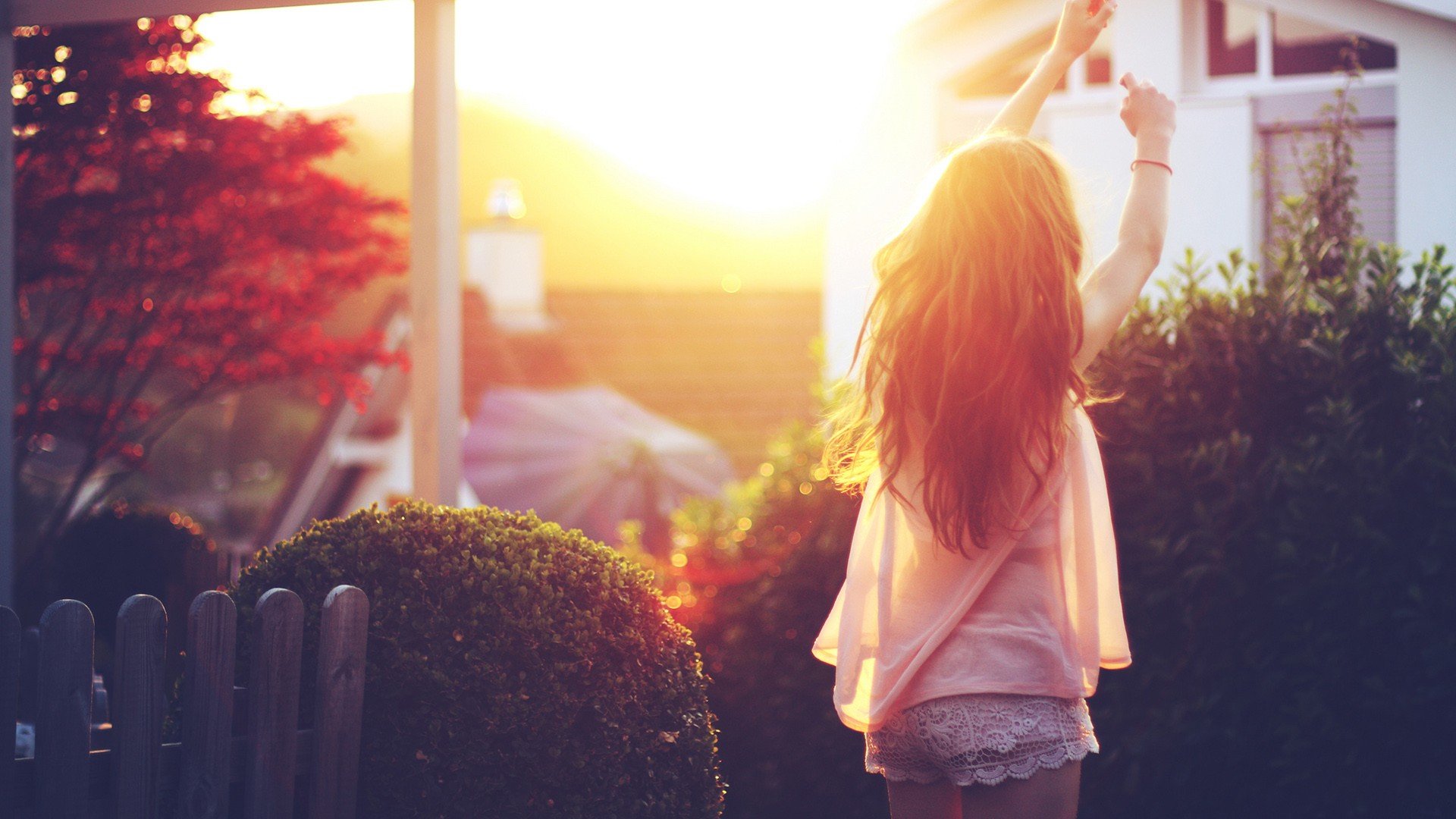 Download Hair Tree Sun Woman Photography HD Wallpaper