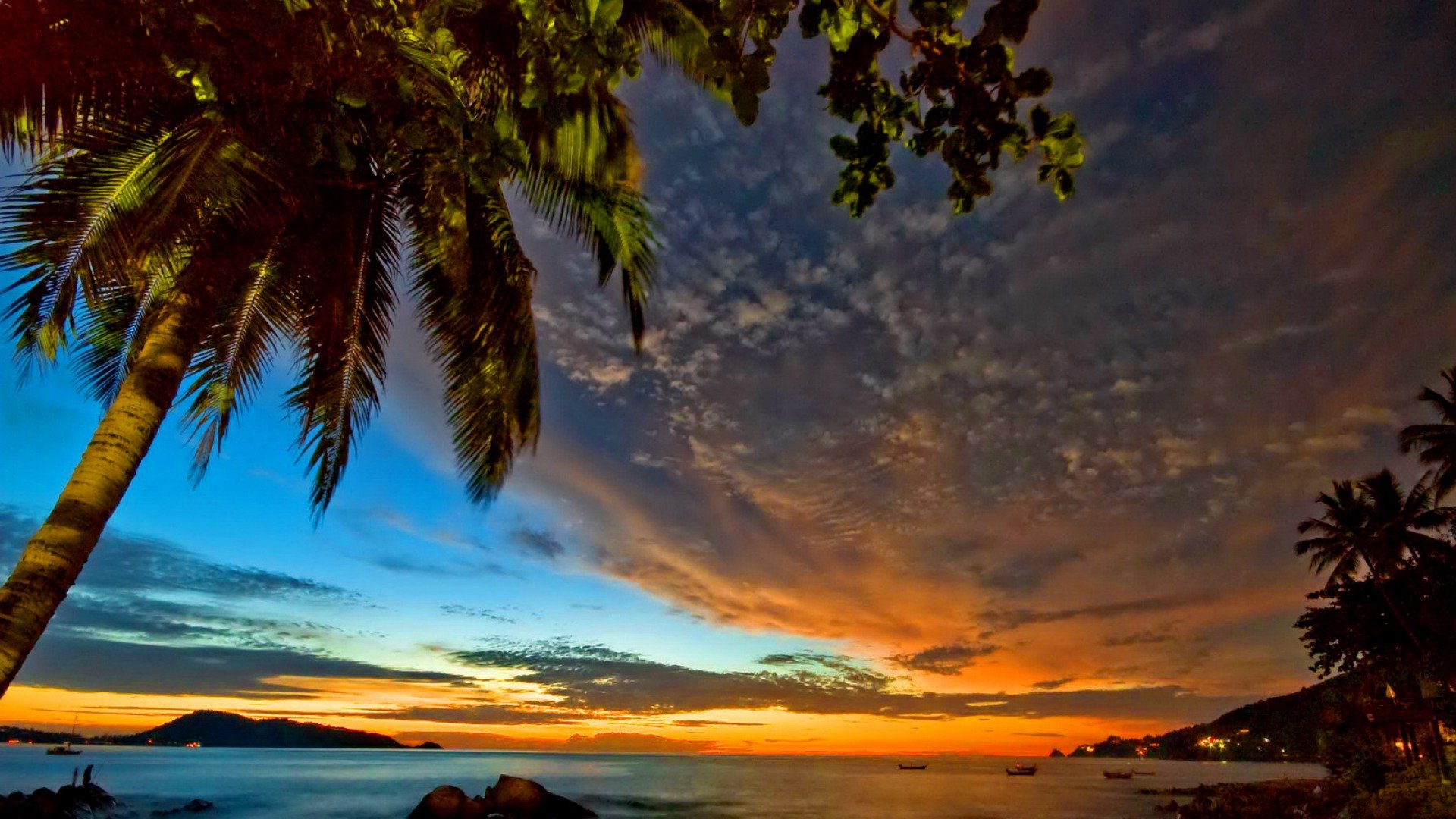 HD desktop wallpaper capturing a vibrant sunset over a tropical beach with palm trees silhouetted against a colorful sky.