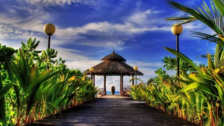 photography tropical HD Desktop Wallpaper | Background Image