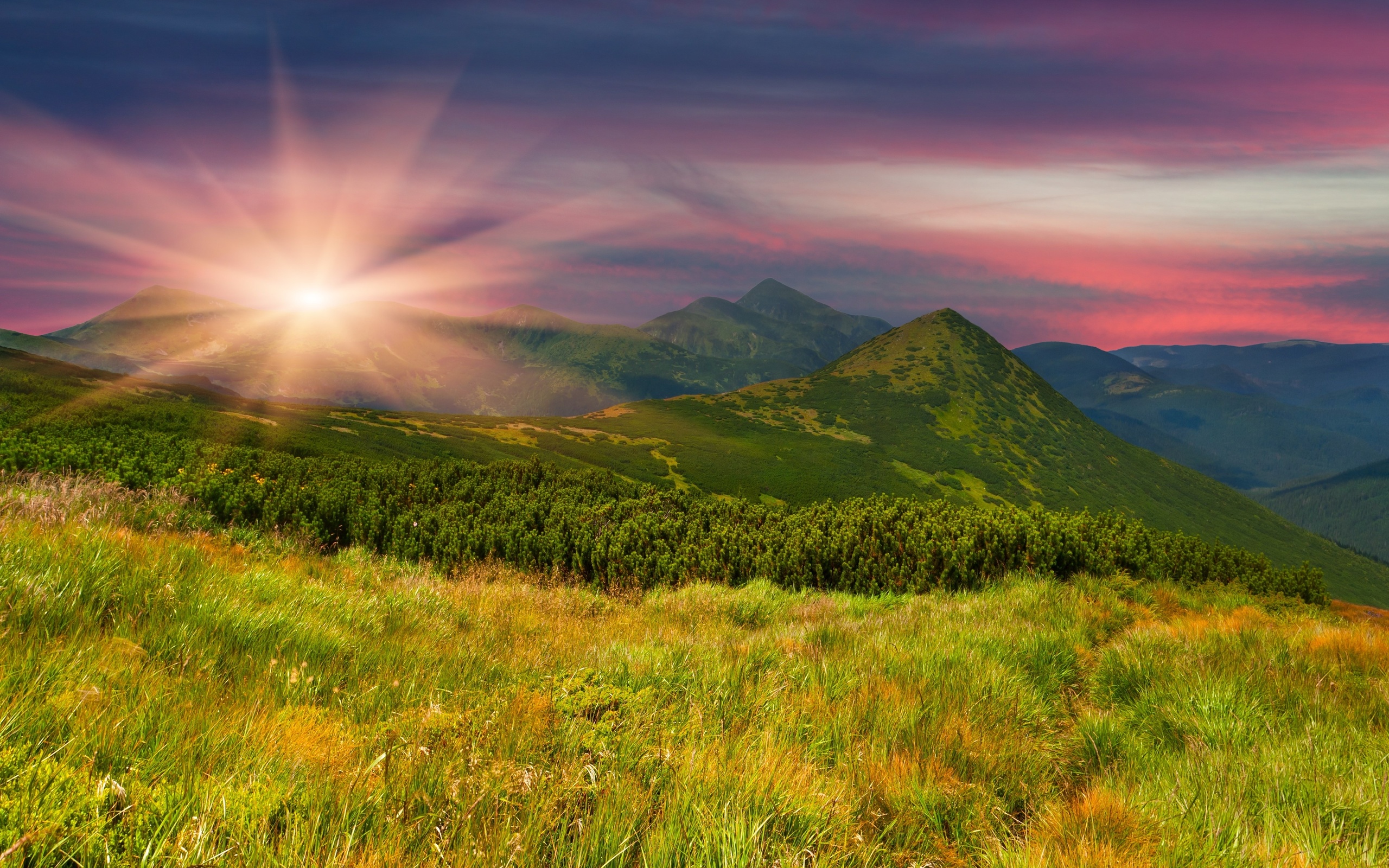 Scenic Full HD Wallpaper and Background Image | 2560x1600 | ID:394818