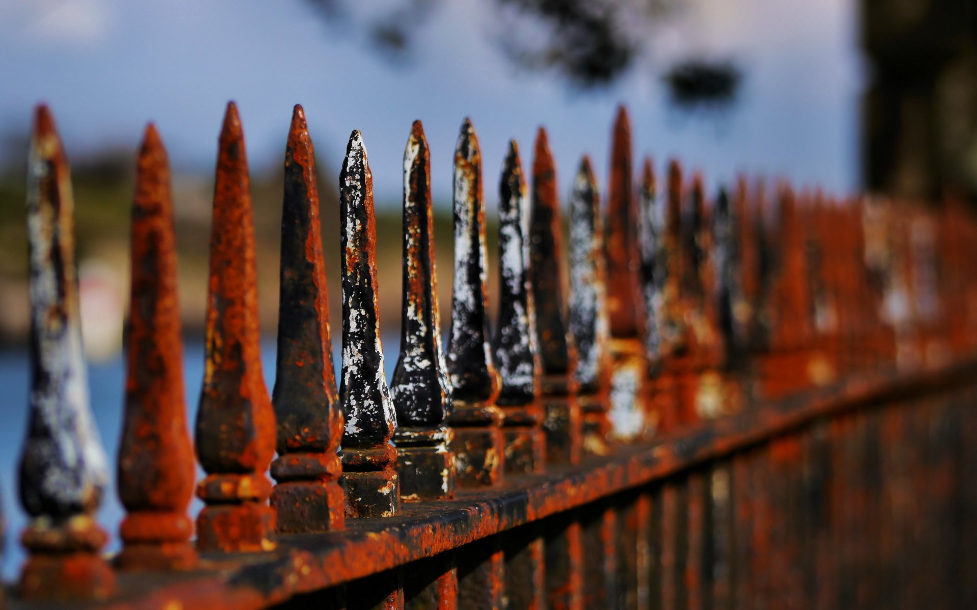 Close-up of a rusted, spiked man-made iron fence in shallow focus with warm tones — 2K Quad HD PC desktop wallpaper and background.