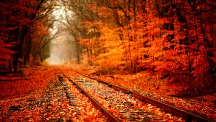 man made railroad HD Desktop Wallpaper | Background Image