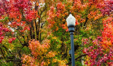 man made lamp post HD Desktop Wallpaper | Background Image