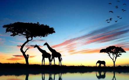 HD PC desktop wallpaper showcasing a serene animal scene with giraffes and an elephant silhouetted against a vibrant sunset sky with scattered trees and flying birds.