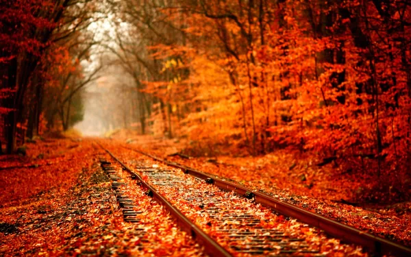 HD PC desktop wallpaper showing man-made railroad tracks cutting through a vibrant orange autumn forest, leaves covering the rails and mist fading into the distance.