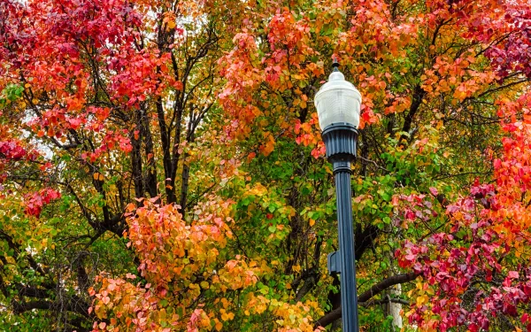 man made lamp post HD Desktop Wallpaper | Background Image