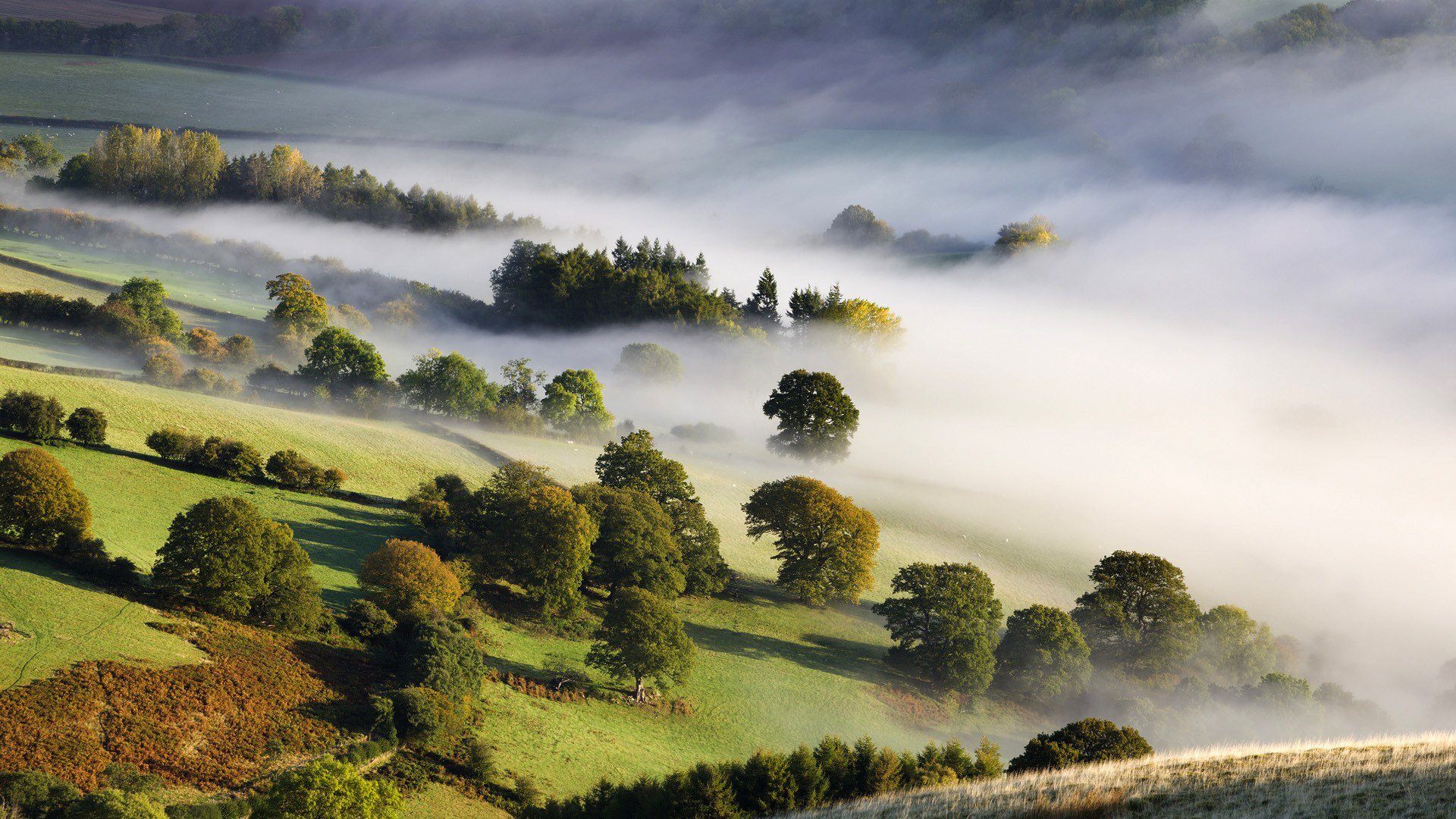 A serene nature landscape featuring rolling hills and trees emerging from a gentle fog, creating a tranquil atmosphere. This stunning image serves as an HD desktop wallpaper.