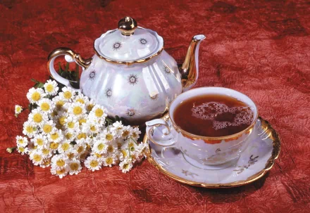 A delicate teapot and cup filled with tea sit beside a bouquet of white daisies, all set against a rich red background, creating a warm and inviting atmosphere. HD wallpaper for tea lovers.