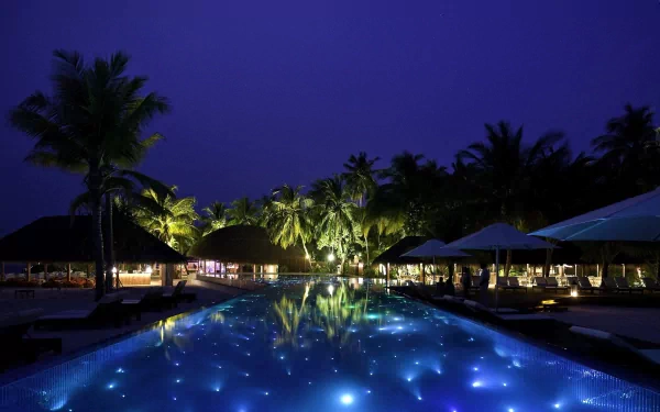 photography tropical HD Desktop Wallpaper | Background Image
