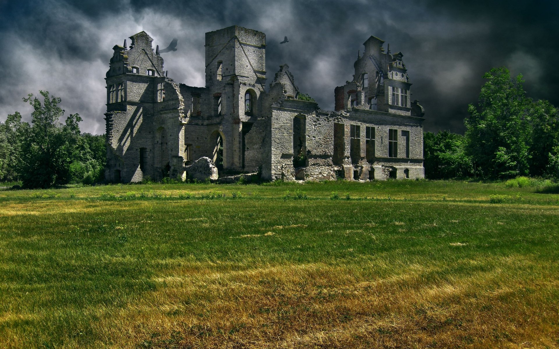 A striking HD wallpaper featuring a man-made ruin surrounded by lush greenery under a dramatic, stormy sky, capturing the enchanting decay of forgotten architecture.