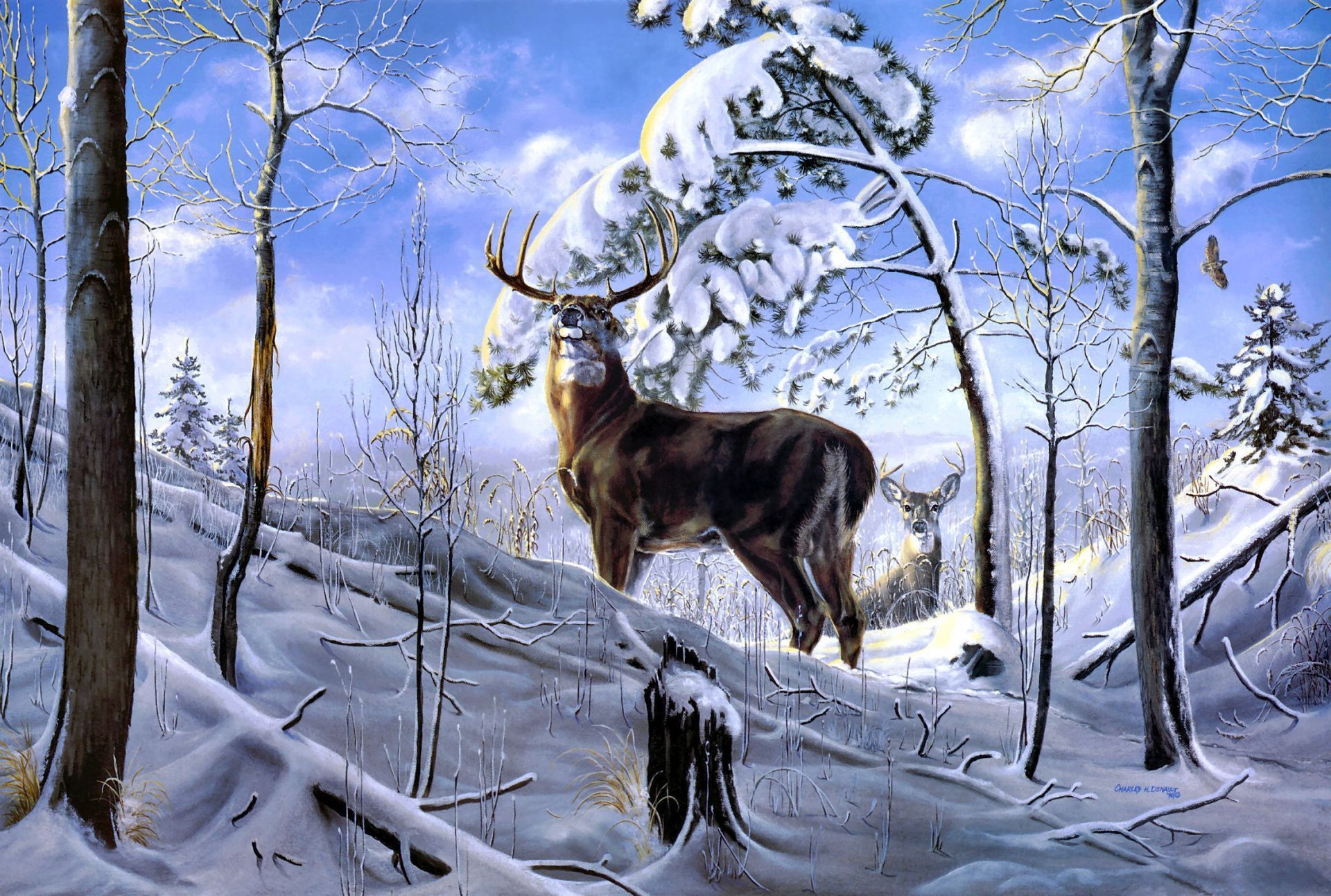 HD PC desktop wallpaper background featuring an animal — a majestic deer stag standing on a snowy hillside among bare winter trees beneath a pale blue sky.