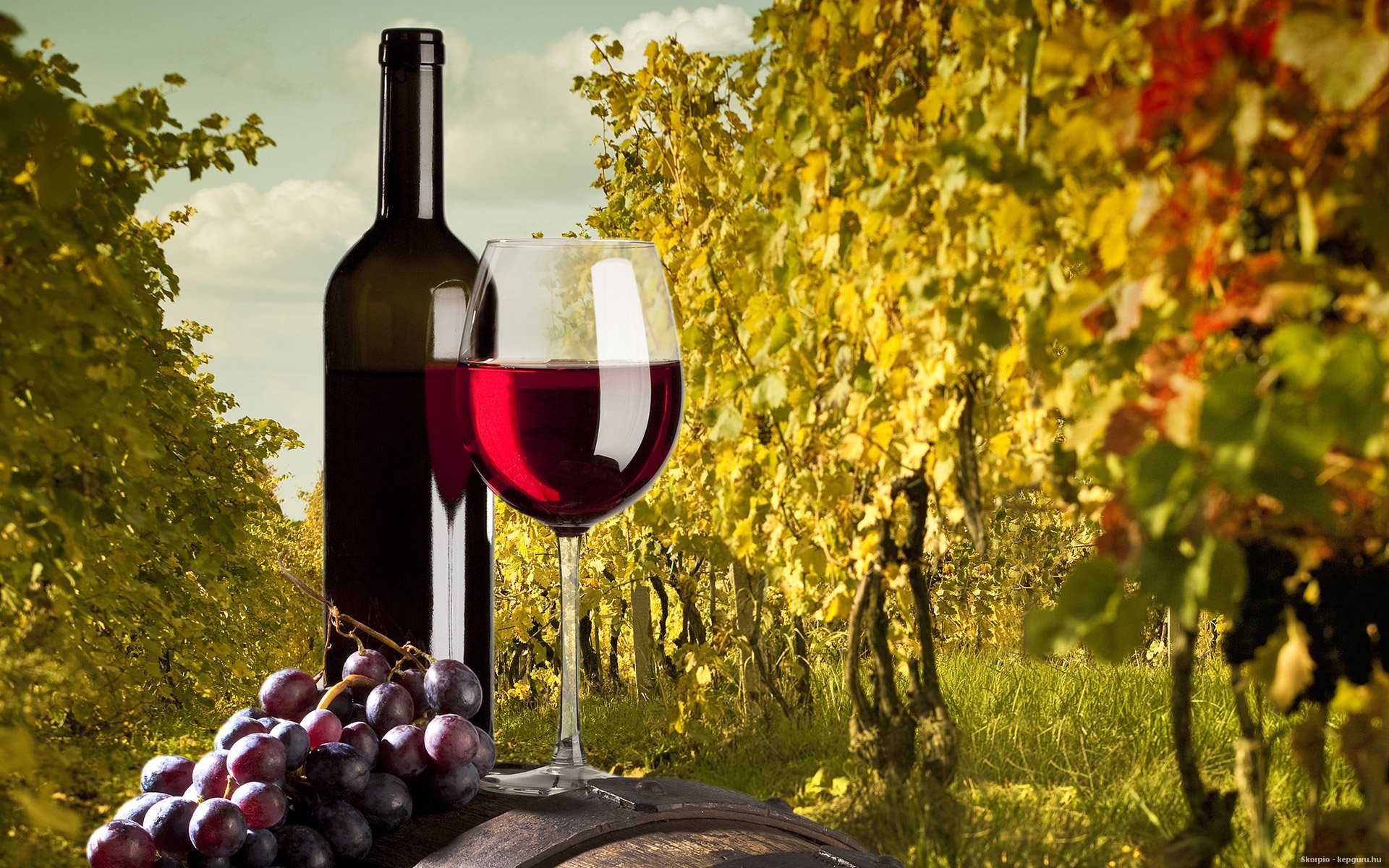 Food Wine HD Wallpaper