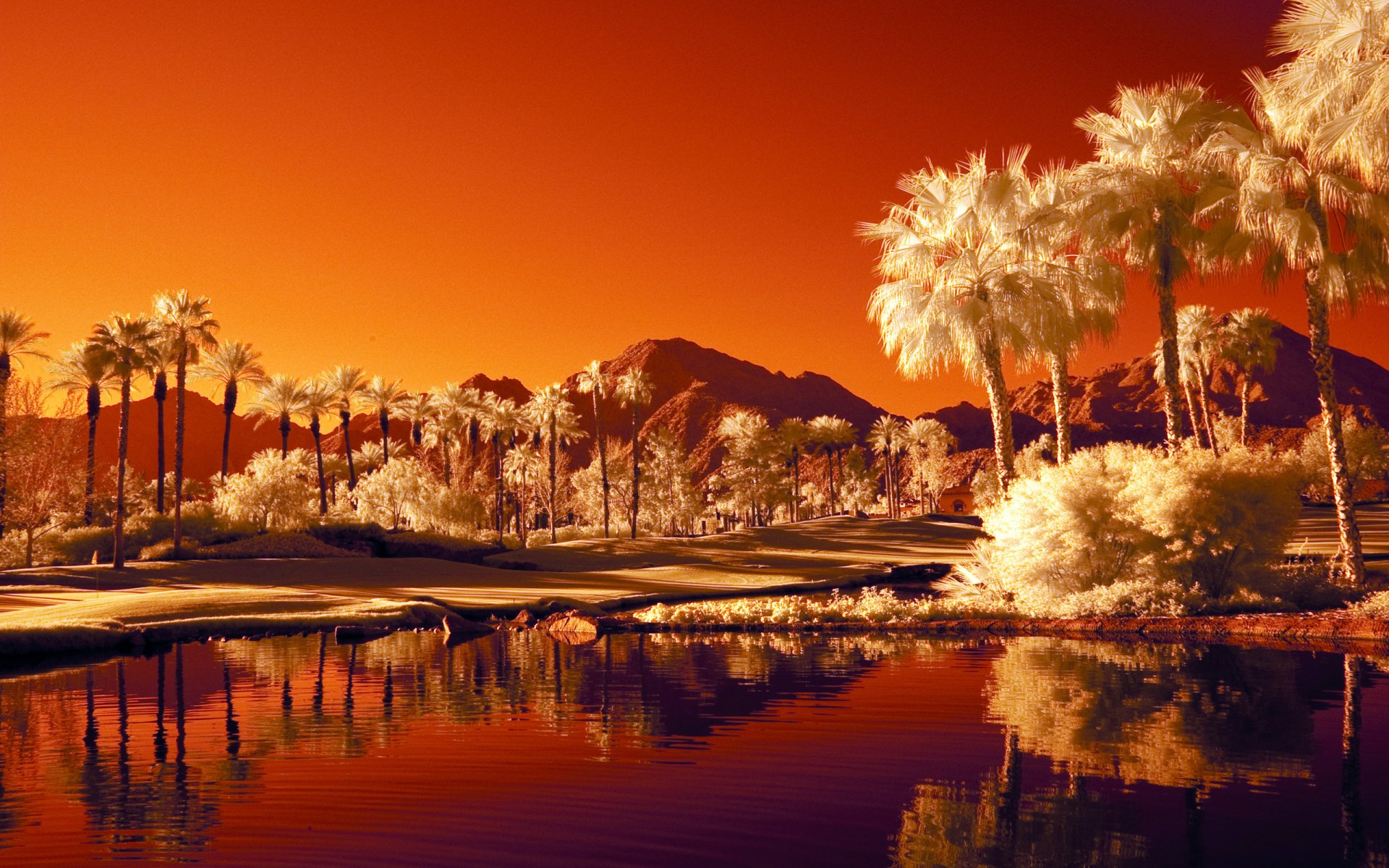 Serene Nature Reflections: Stunning HD Landscape Wallpaper | 2560x1600 ...