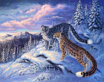 HD PC desktop wallpaper featuring two snow leopards in a snowy mountain landscape, showcasing the beauty of these wild animals in their natural habitat.