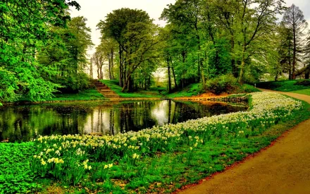 HD photography of a lush green park with a serene pond surrounded by blooming flowers and winding pathways, captured as a vibrant desktop wallpaper background.
