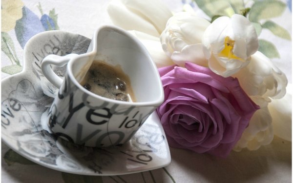 Food Still Life HD Wallpaper | Background Image