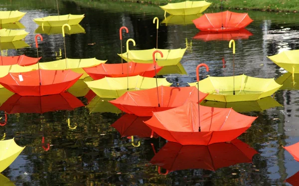 photography umbrella HD Desktop Wallpaper | Background Image