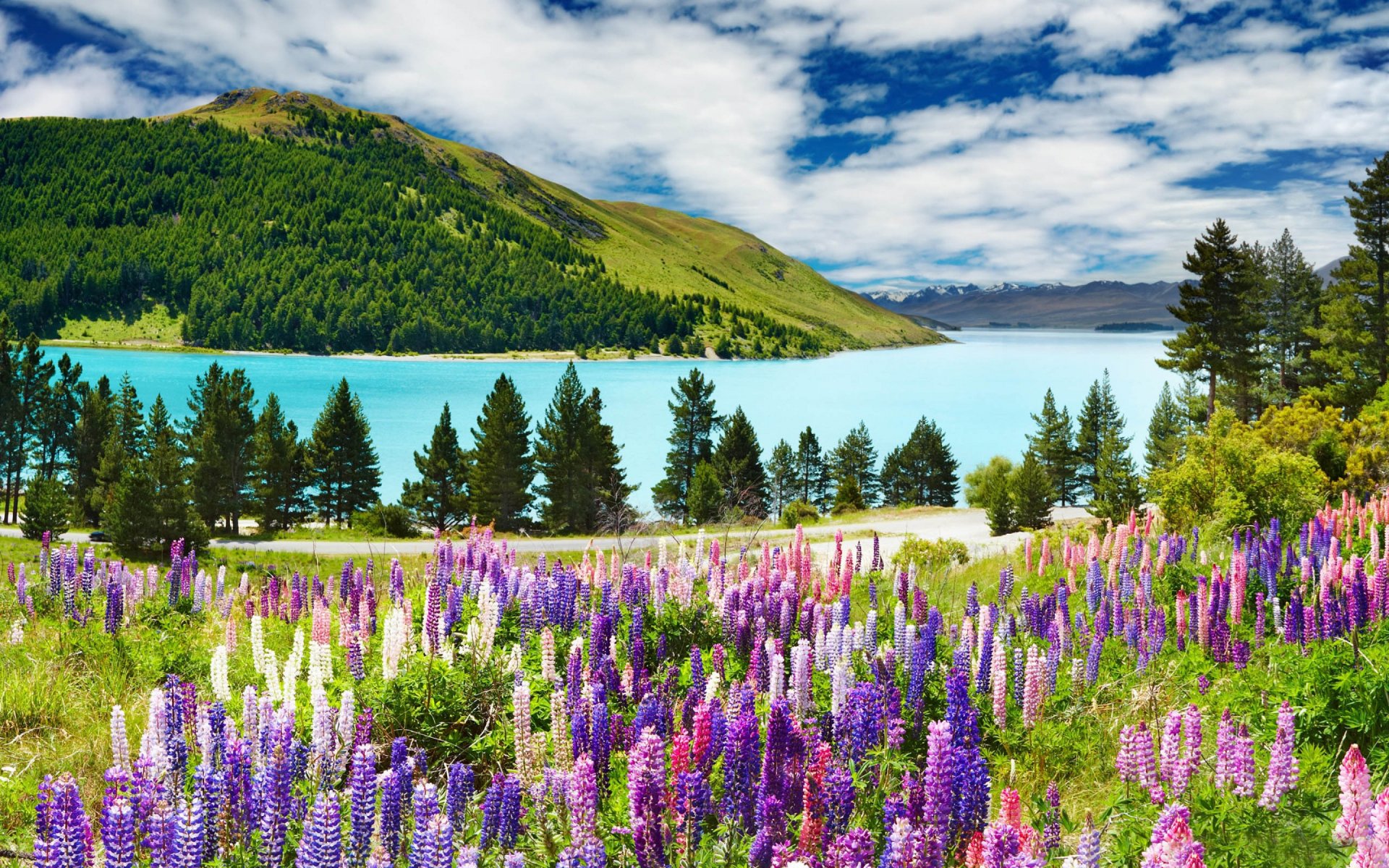 Download New Zealand Nature Lake Tekapo HD Wallpaper