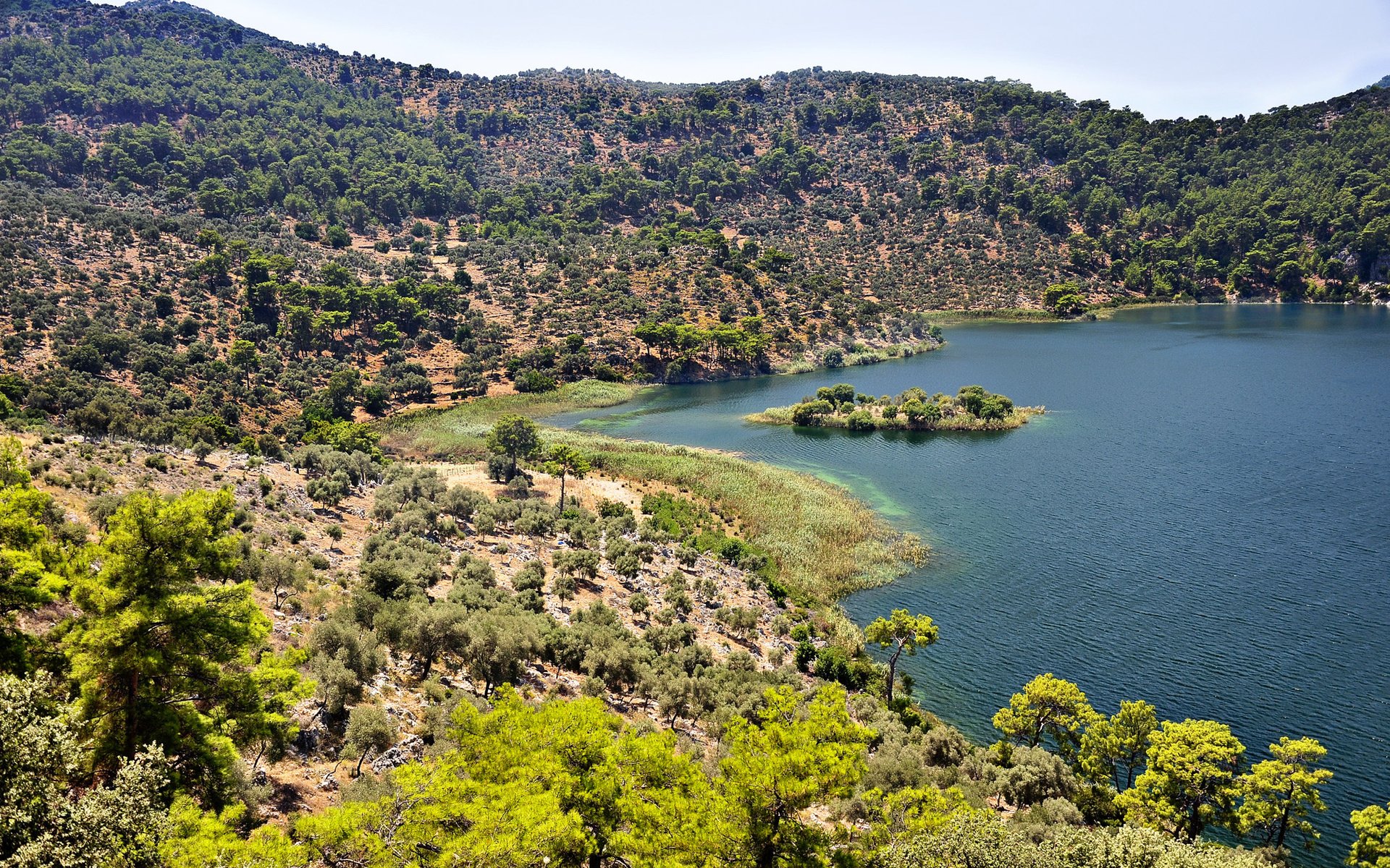 Serene HD Lake View: Nature’s Tranquil Escape | 1920x1200 | Wallpaper Abyss