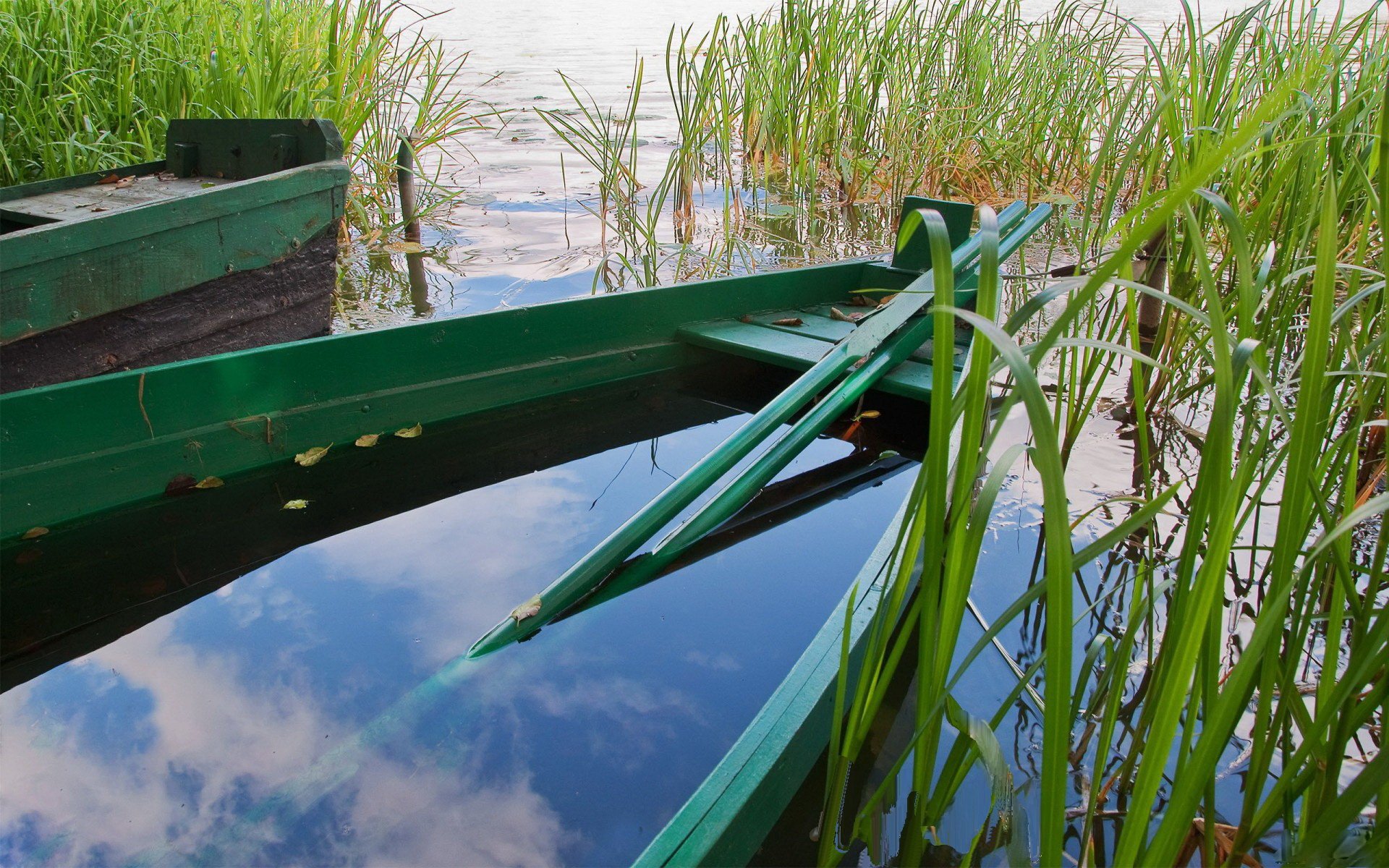 HD desktop wallpaper showing a green boat partially submerged in calm water among tall green reeds, reflecting the cloudy sky above.