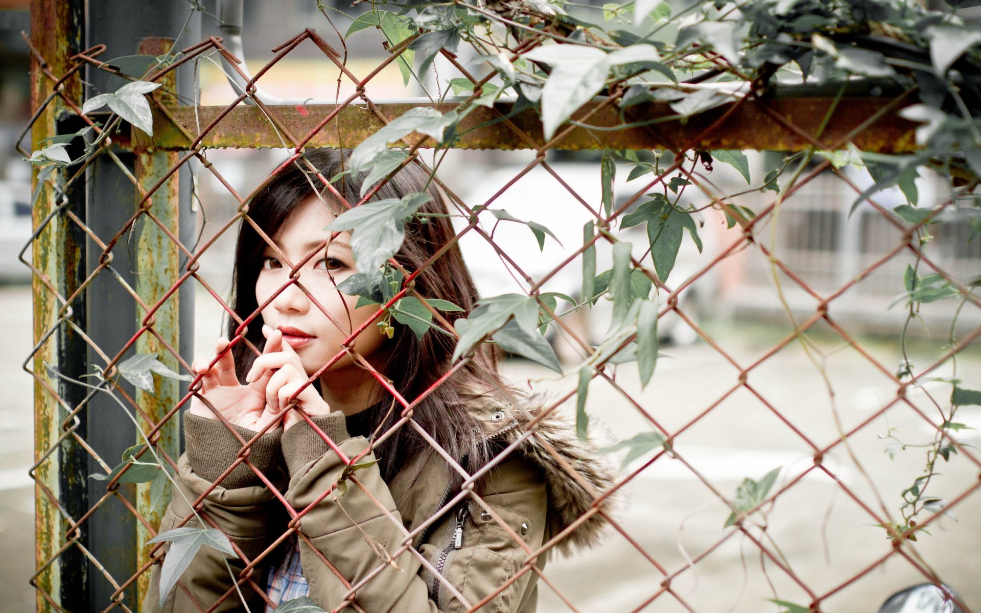 HD desktop wallpaper featuring an Asian woman behind a rustic, ivy-covered wire fence, gazing thoughtfully.
