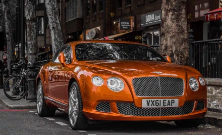 vehicle Bentley HD Desktop Wallpaper | Background Image