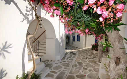 HD wallpaper featuring a sunlit building with white walls and an archway. Stone pathway adorned with vibrant pink flowers and tree casting shadows, creating a serene and picturesque setting.