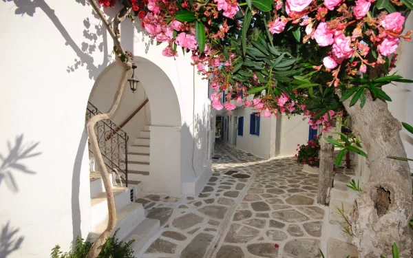 HD wallpaper featuring a sunlit building with white walls and an archway. Stone pathway adorned with vibrant pink flowers and tree casting shadows, creating a serene and picturesque setting.
