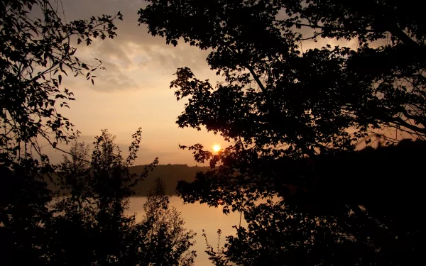 A tranquil sunrise illuminates a serene lake, framed by silhouettes of trees. This nature-inspired image serves as a stunning 4K Ultra HD desktop wallpaper.