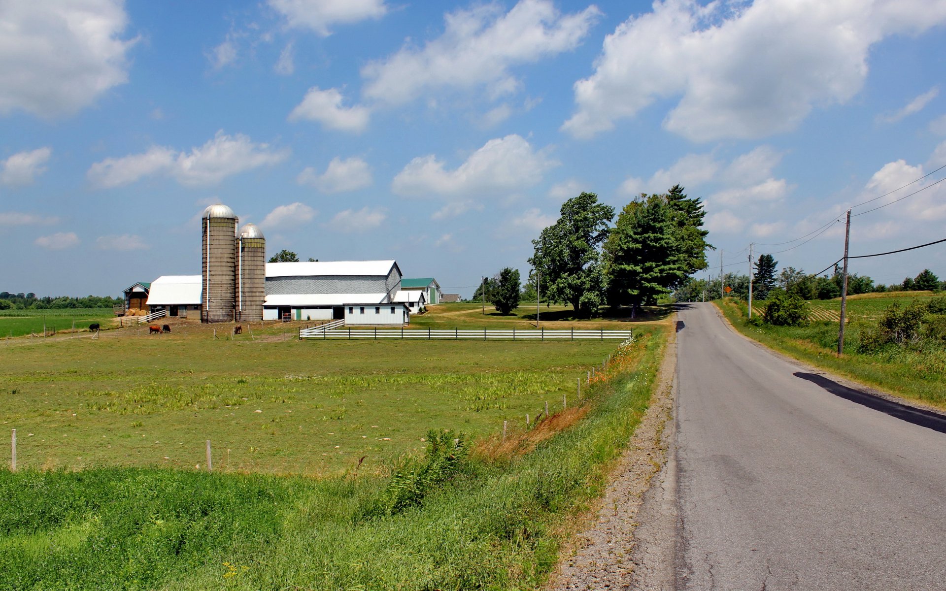 Dairy Farm by bear844