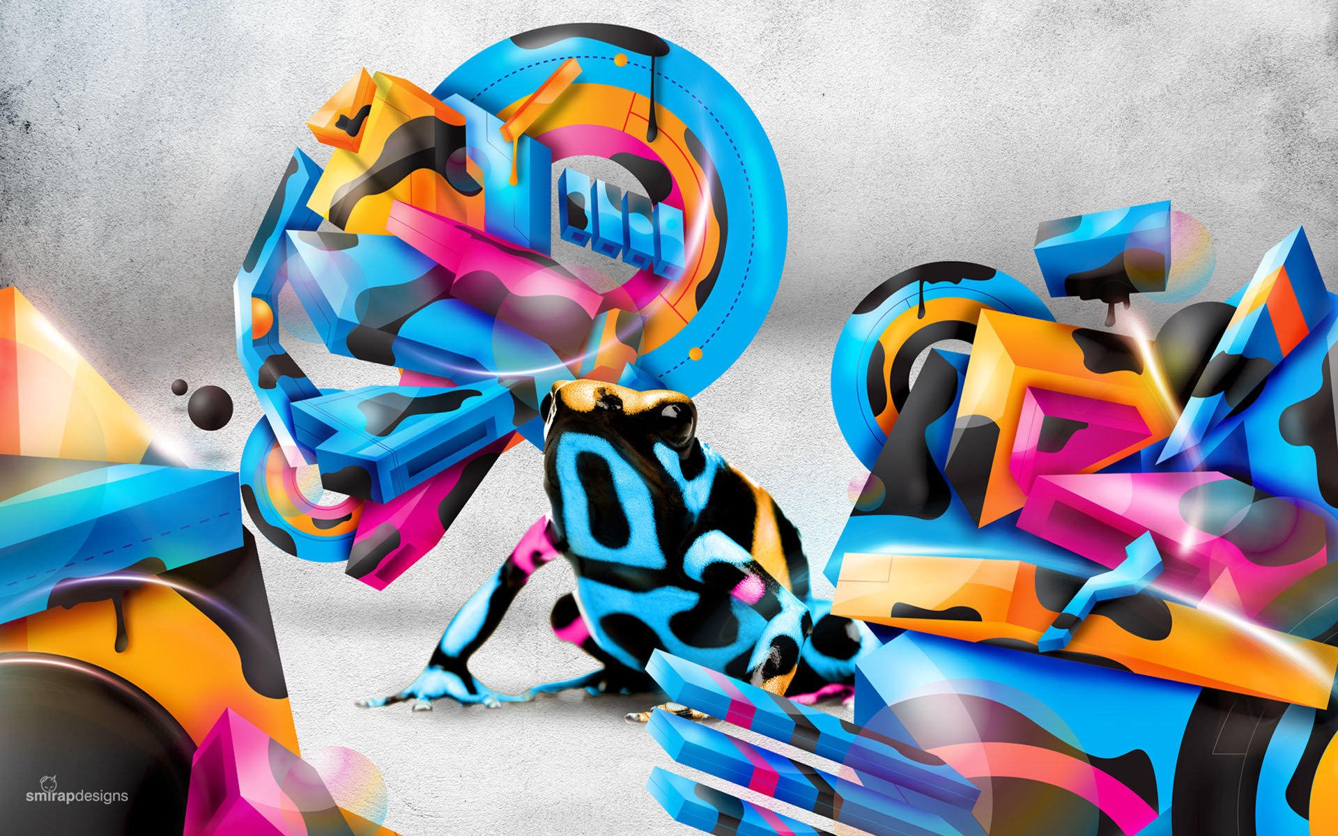 Download Animal Frog HD Wallpaper