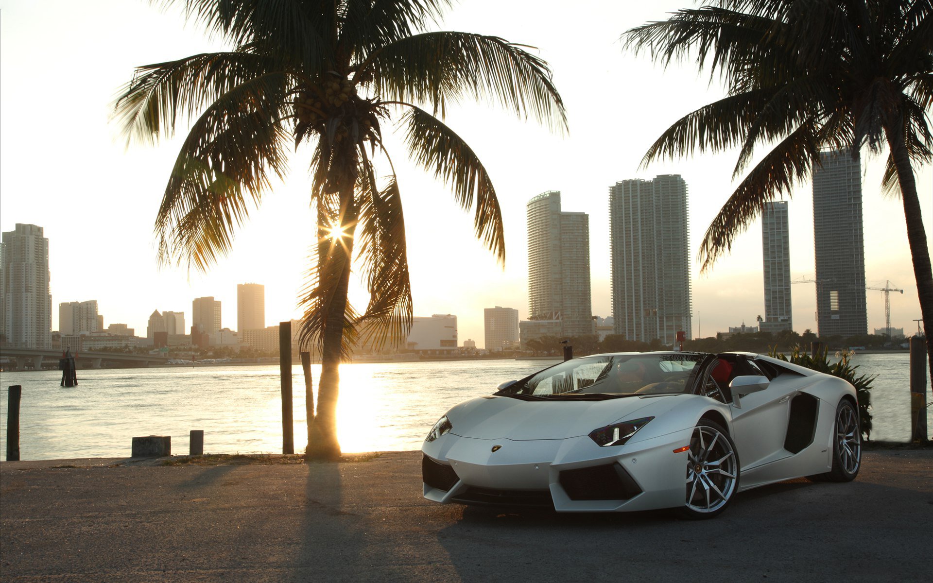 Download Vehicle Lamborghini Aventador HD Wallpaper