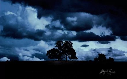 HD PC desktop wallpaper featuring a dramatic night sky with dark clouds above silhouetted trees, capturing the essence of nature and atmospheric weather.