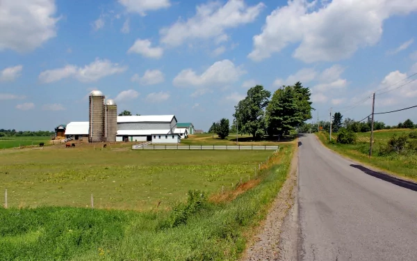  Dairy Farm