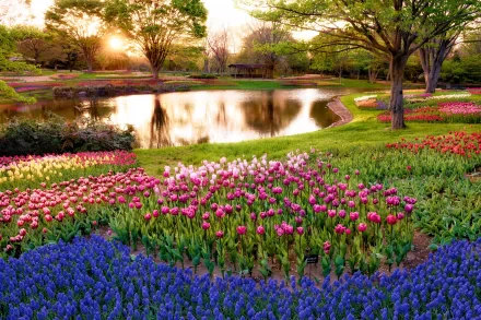 HD photography of a vibrant park scene featuring blooming flowers, lush green grass, and a calm pond reflecting sunlight, captured for a PC desktop wallpaper.