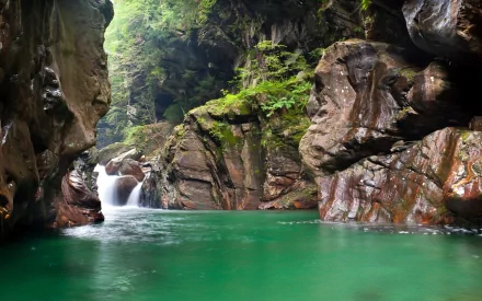 nature cliff HD Desktop Wallpaper | Background Image