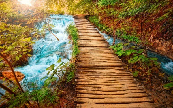 HD desktop wallpaper of a man-made wooden boardwalk winding through a forest alongside a flowing river under warm sunlight.