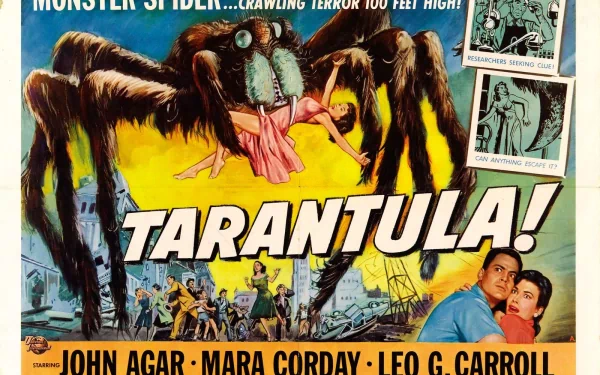 movie tarantula HD Desktop Wallpaper | Background Image