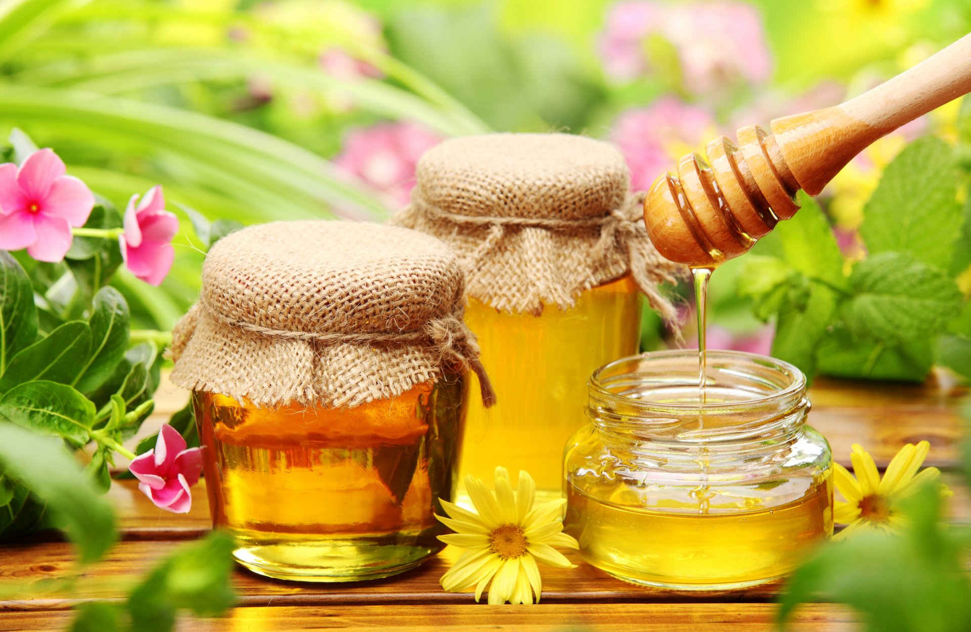 60 Honey HD Wallpapers Background Images
