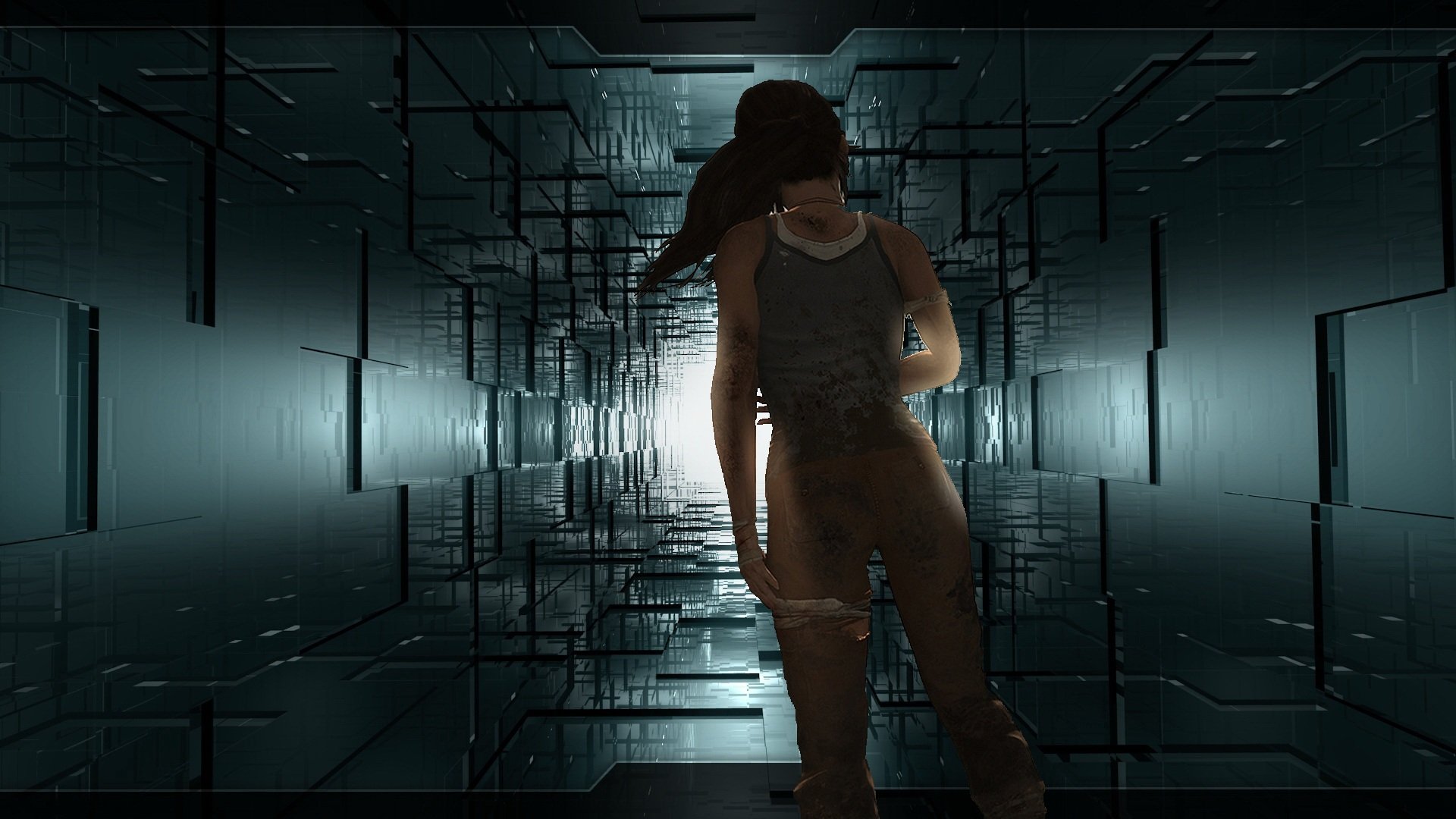 Download Video Game Tomb Raider HD Wallpaper by Vespertine