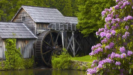A serene watermill surrounded by lush greenery and blooming flowers, captured in high definition for a picturesque desktop wallpaper.
