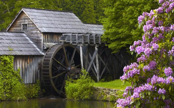 A serene watermill surrounded by lush greenery and blooming flowers, captured in high definition for a picturesque desktop wallpaper.