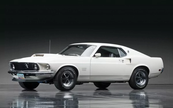  1969 Ford Mustang Boss 429 by Darin Schnabel