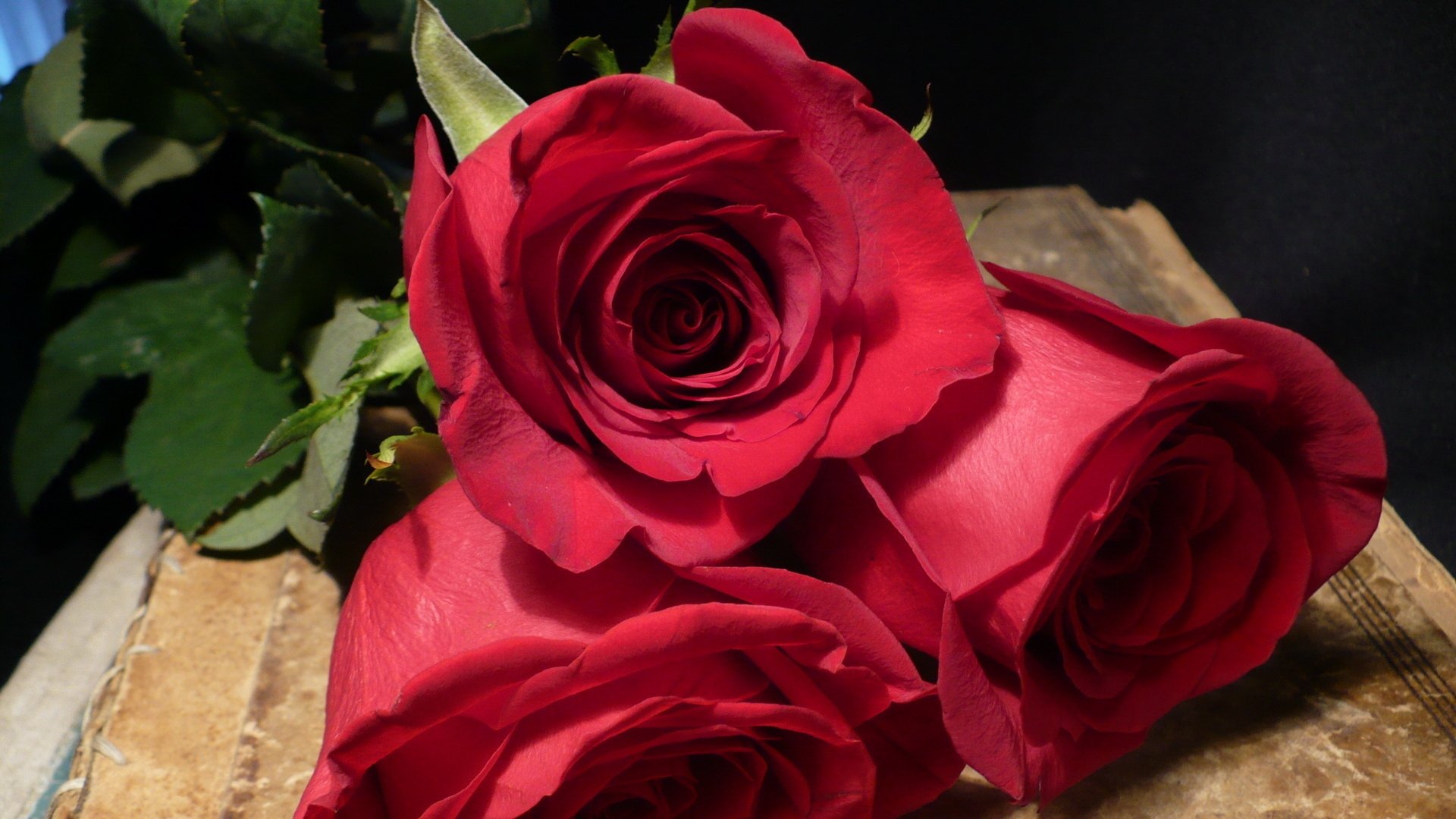 A beautiful arrangement of three red roses on a rustic background, showcasing vibrant petals and lush green leaves, captured in HD for a nature-inspired desktop wallpaper.