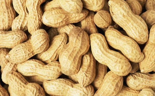 HD PC desktop wallpaper featuring a close-up view of unshelled peanuts, highlighting their textured shells in a natural food-themed background.