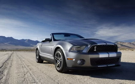 vehicle Ford Mustang Shelby GT500 HD Desktop Wallpaper | Background Image