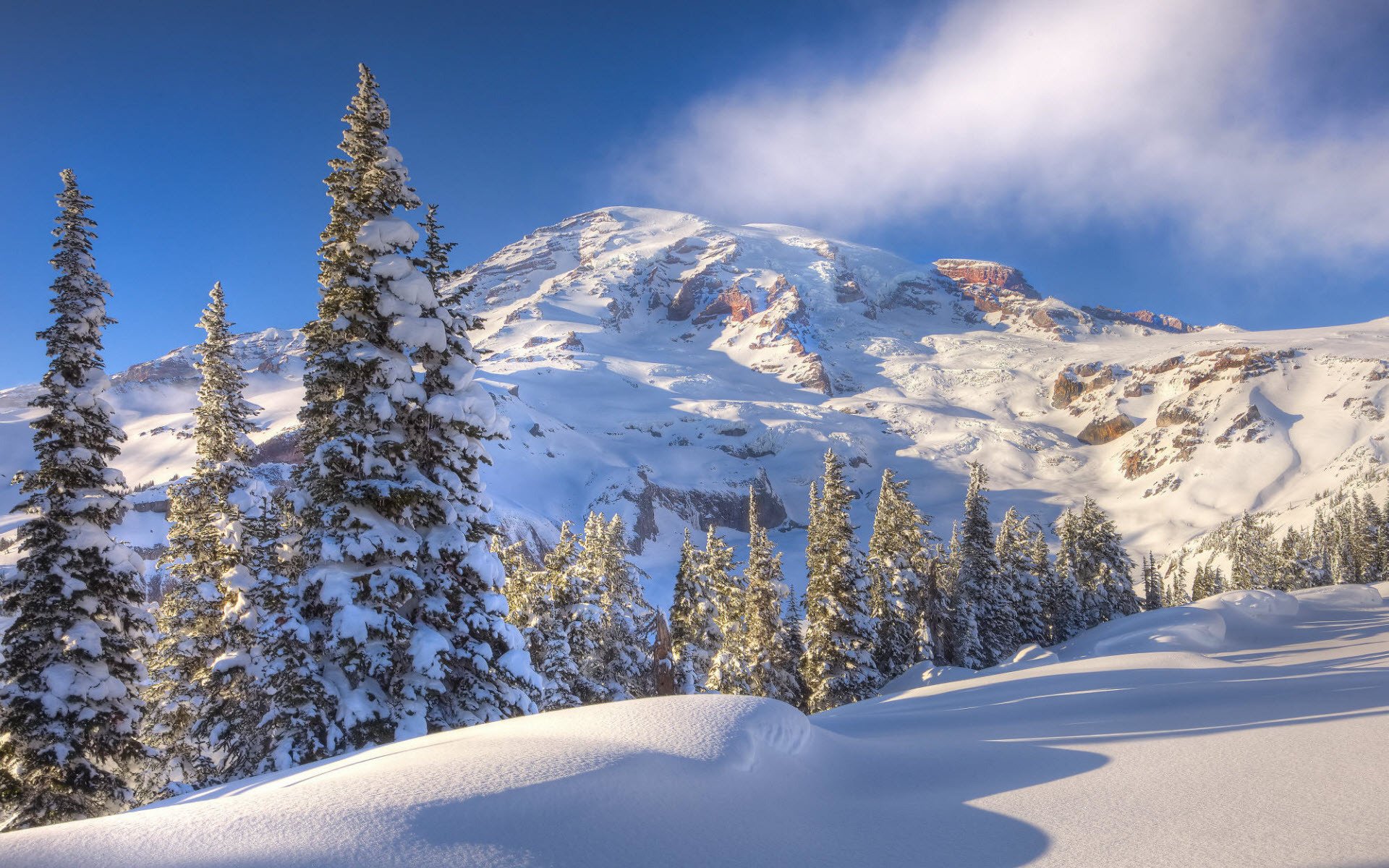 HD PC desktop wallpaper featuring a serene winter landscape with snow-covered pine trees and a bright blue sky over snowy mountains.