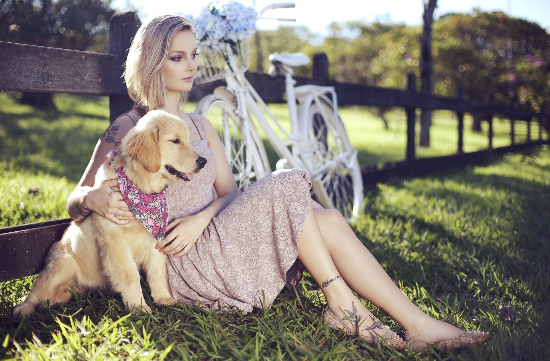 A serene HD desktop wallpaper featuring a woman sitting on grass with a golden retriever, next to a white bike, against a scenic background. The mood is calm and peaceful.