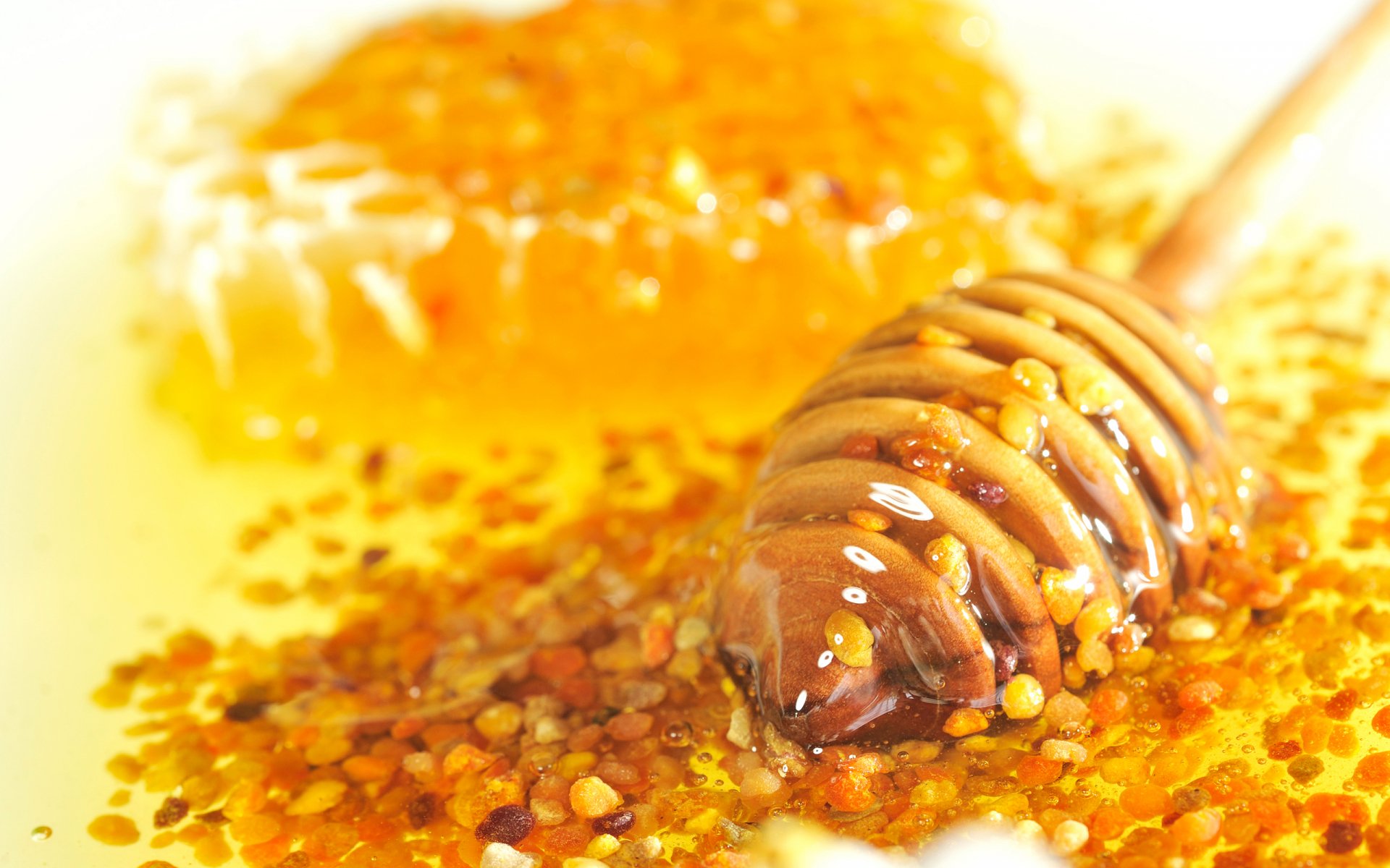 HD desktop wallpaper showing a close-up of honey dripping from a wooden dipper onto honeycomb with pollen granules scattered around.